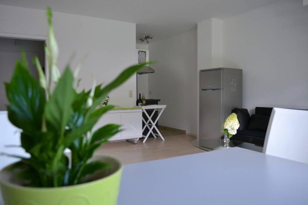 Ferienwohnung Stimmer Grainau Exterior foto